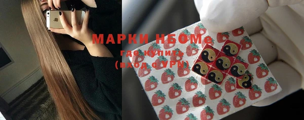 стафф Новозыбков