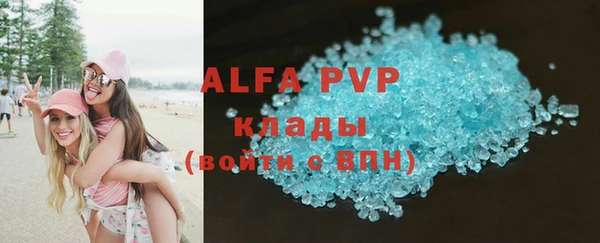 стафф Новозыбков