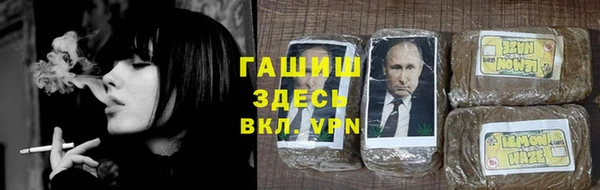 стафф Новозыбков
