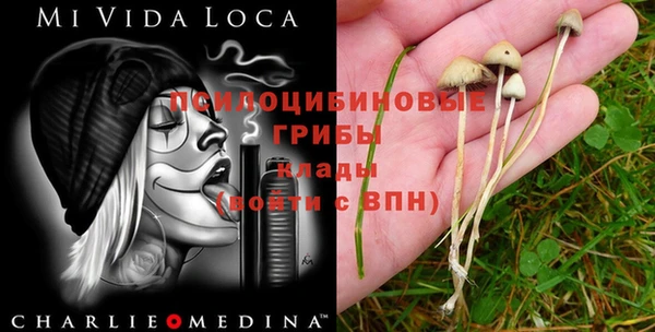 mix Новодвинск