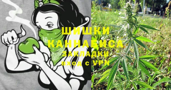 стафф Новозыбков