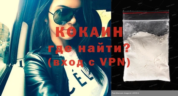 стафф Новозыбков