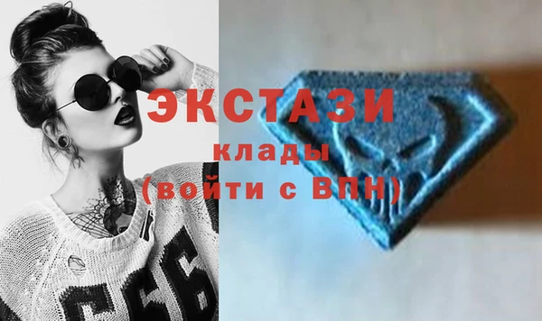 стафф Новозыбков