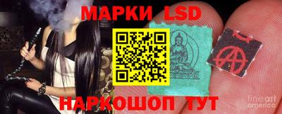 кокс Донской