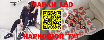 кокс Донской