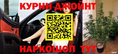 кокс Донской