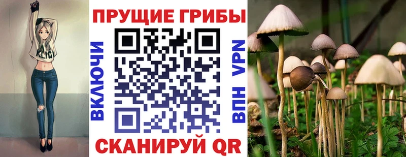 Псилоцибиновые грибы ЛСД  закладки  Благовещенск 
