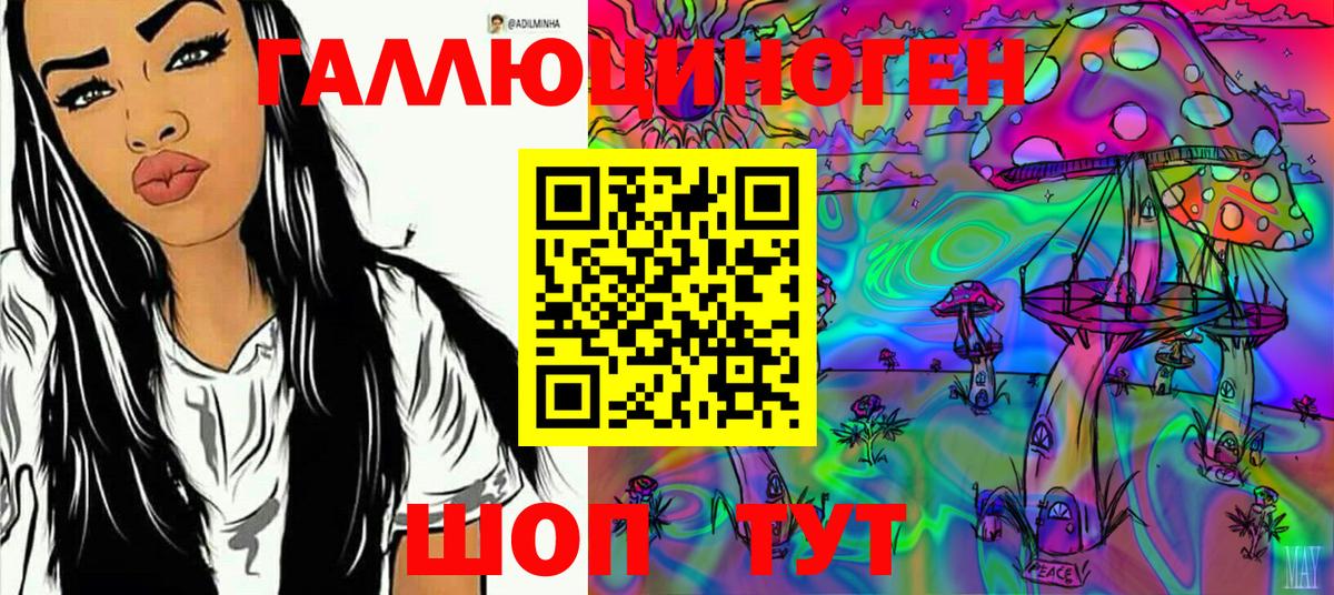Благовещенск  Галлюциногенные грибы MAGIC MUSHROOMS  Вход с VPN 
