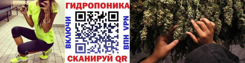 Канабис Amnesia Благовещенск